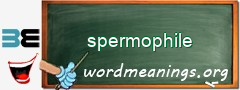 WordMeaning blackboard for spermophile